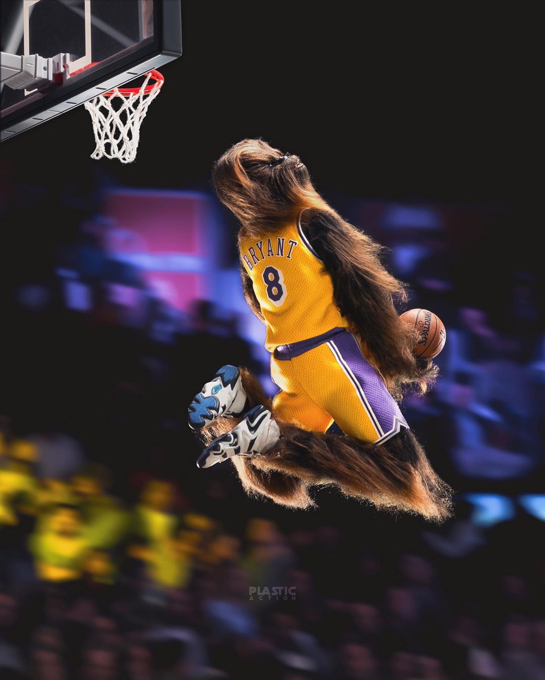 Wookie NBA